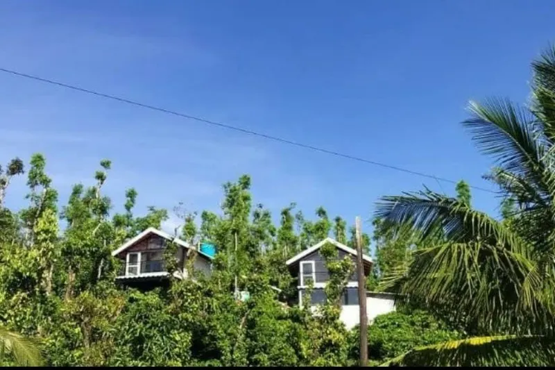 nesting-spot-homestay-advisor-mudigere-2_orig.jpeg