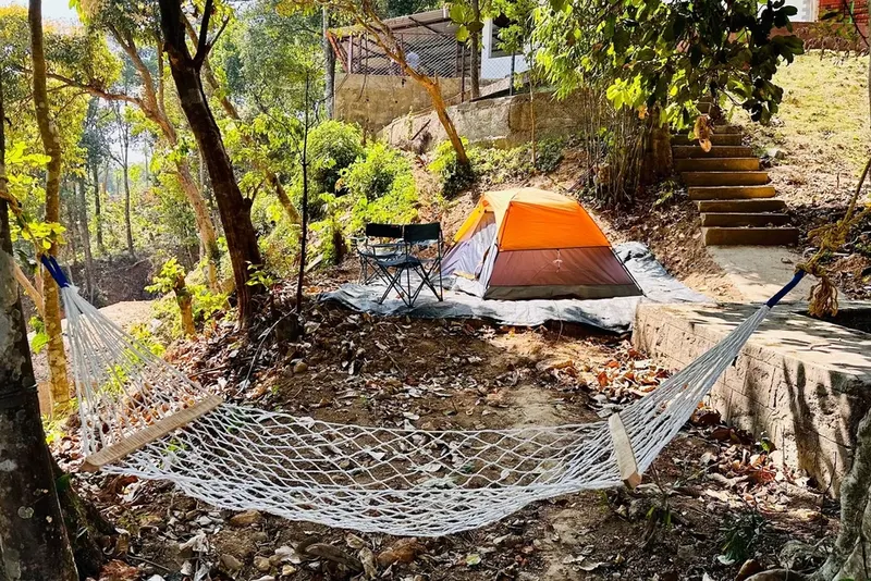 wildroot-dwelling-57_1_orig.webp