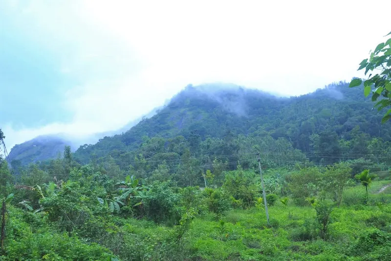 room-n-roof-homestay-advisor-chikmagalur-2_1.jpg