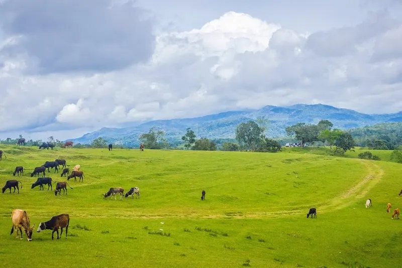 aldur-shooting-point-homestay-advisor-chikmagalur.jpg