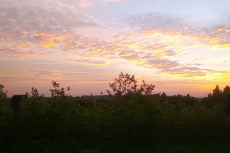4216089_2.jpg