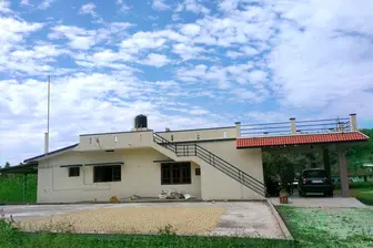 Top Farm