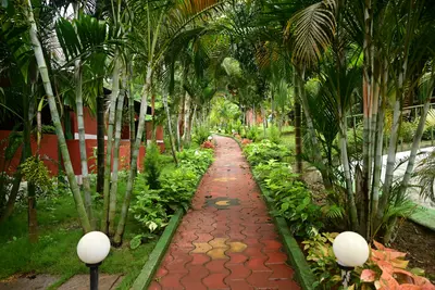 Blue Leaf Resort
