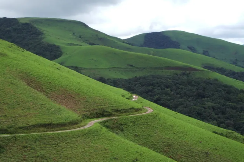 kemmangundi-homestay-advisor-chikmagalur_orig.jpg