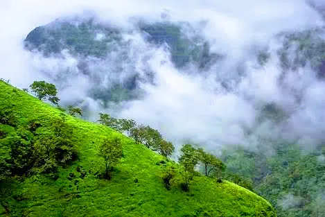 coffee-plantation-19_orig.jpg