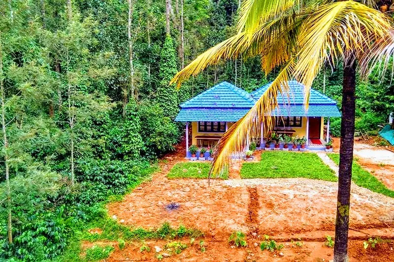 coffee-plantation-4_orig.jpg