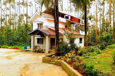 Coffee Plantation