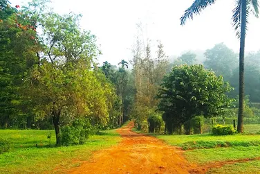 ammadi-homestay-22.jpg
